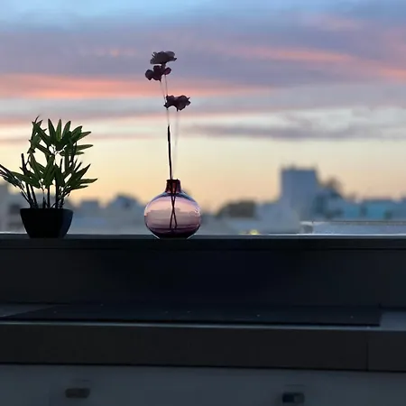 Apartment Cherry Penthouse In Spinola Bay *